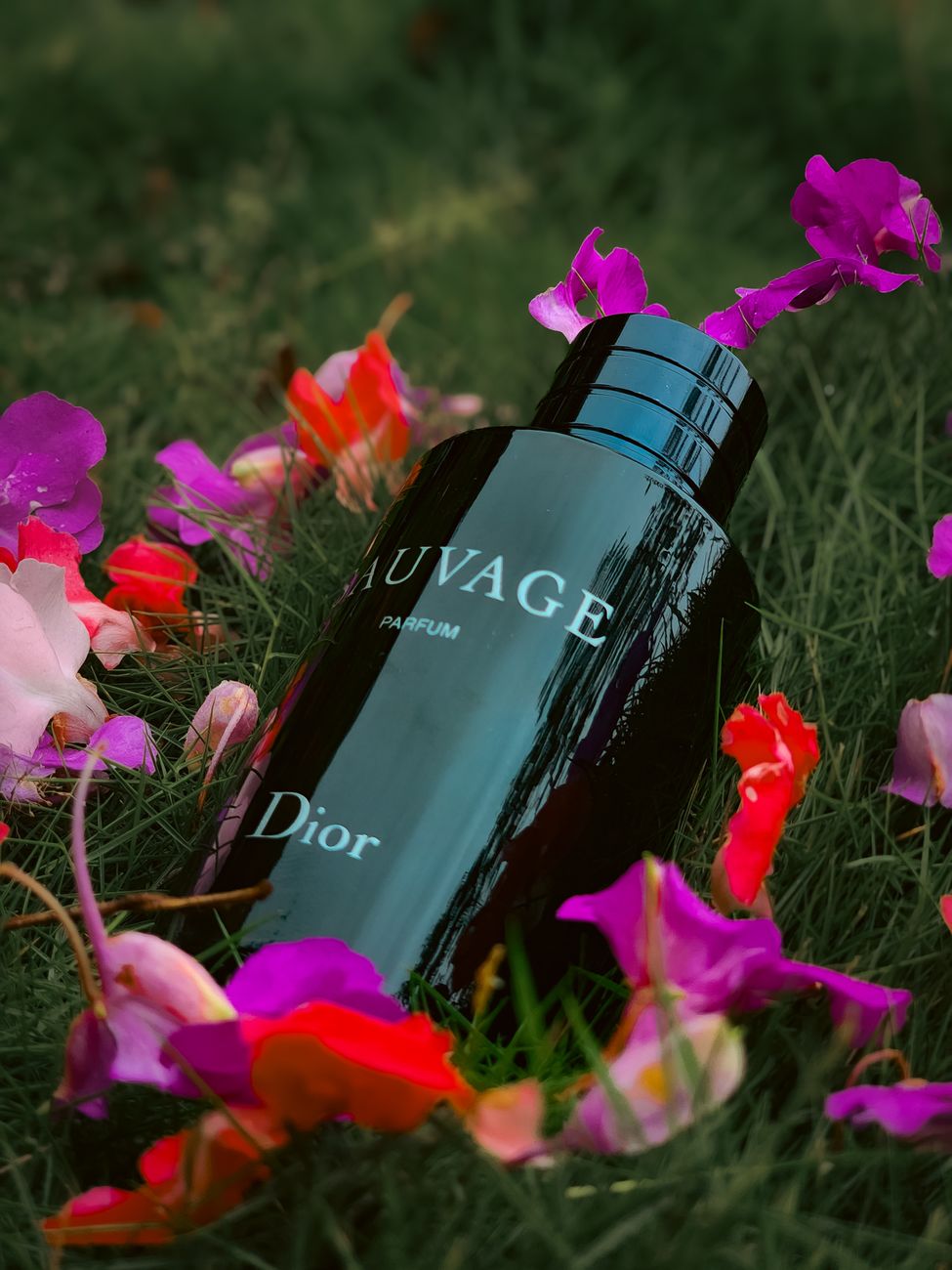 Sauvage & Silence